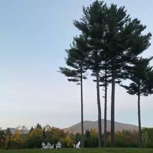 Meet your Posher, Jessie